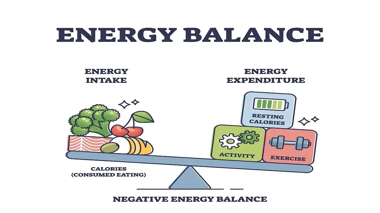 Calories cannot disappear but can be redirected as uncounted.